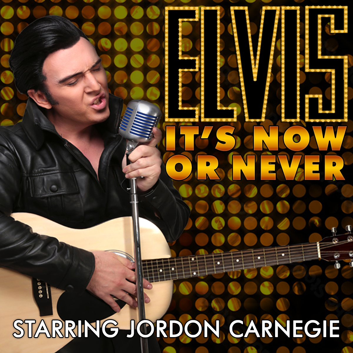 Elvis: It's Now or Never logo
